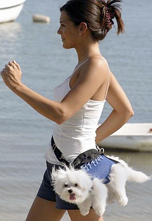 adampet7.jpg